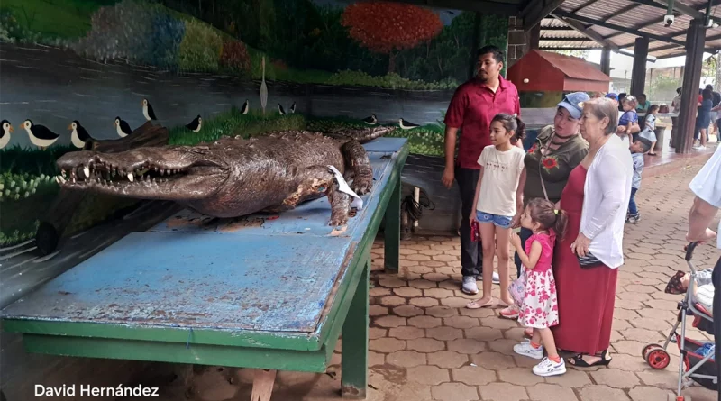 zoologico nacional, fauna, nicaragua, managua, familias nicaraguense, recreacion, aprendizaje,