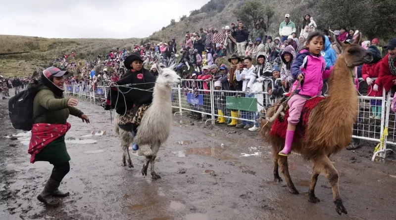 llamingada, Ecuador, carrera de llamas, tradición, único evento, Dia internacinoal de los humedales, niños,