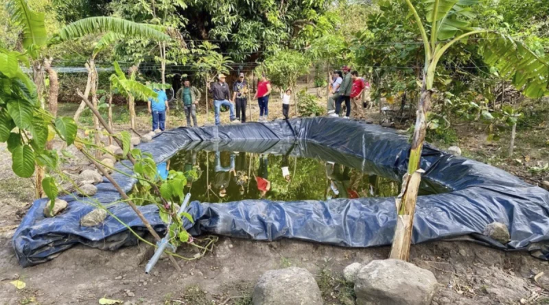 acuicultura, nicaragua, inpesca, economia, seguridad alimentaria,