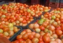 consumo y comercio, tomates nicaragua, gobierno de nicaragua