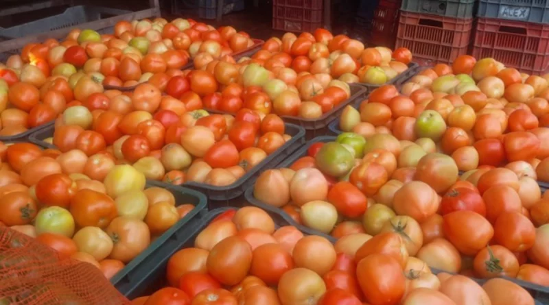 consumo y comercio, tomates nicaragua, gobierno de nicaragua