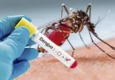 dengue, minsa, nicaragua, neumonia,