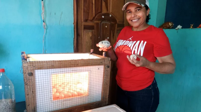 educación técnica, nicargua, gobierno de nicaragua,