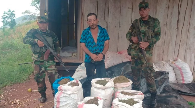 ejercito de nicaragua, incautacion de marihuana, san jose de bocay, jinotega nicaragua, denis ariel rayo centeno, nicaragua