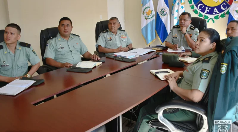 Ejército de Nicaragua , Nicaragua, xi actividad especializada,