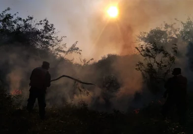 ejercito de nicaragua, incendio forestal, chinandega, corinto,