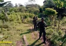 ejercito de nicaragua, caminata, adiestramiento. mateare