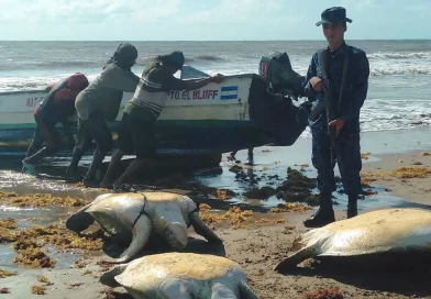 nicaragua, caribe sur, inpesca