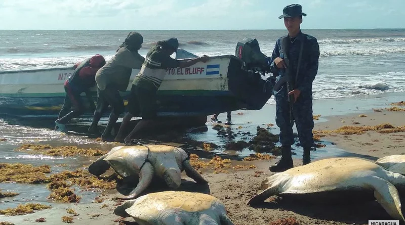 nicaragua, caribe sur, inpesca