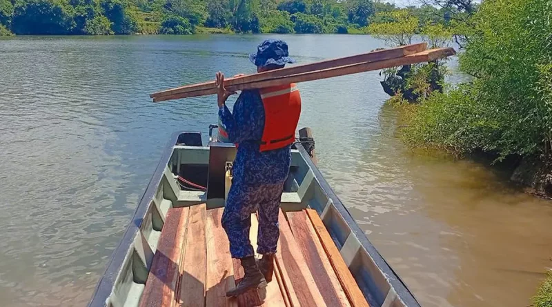 Nicaragua, ejercito, ocupación de madera, caribe sur