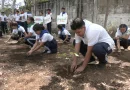 nicaragua, reforestacion, movimiento ambientalista guardabarranco, arboles frutales