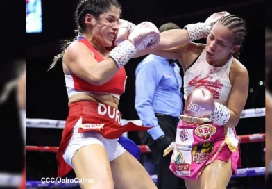 boxeo, Eveling Ortega,colocha Ortega, deporte, Nicaragua, canal4, boxeo,