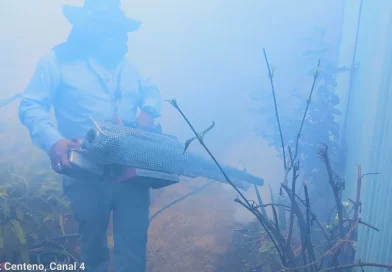 Managua, MINSA, Nicaragua, fumigación, lucha contra el dengue, medidas, abatización, zancudo, dengue, medidas de prevención,