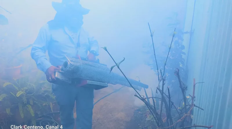 Managua, MINSA, Nicaragua, fumigación, lucha contra el dengue, medidas, abatización, zancudo, dengue, medidas de prevención,