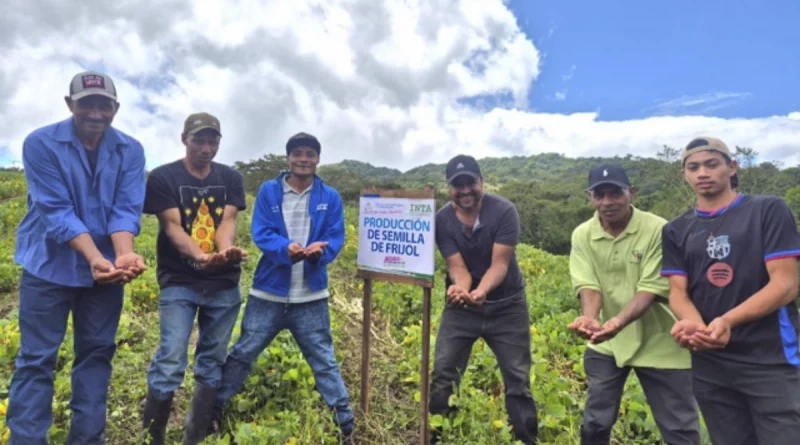 semilla, frijol, inta, ipsa, gobierno de nicaragua, esteli,