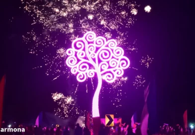 rivas, árbol de la vida, inauguración, Nicaragua, gobierno de Nicaragua,