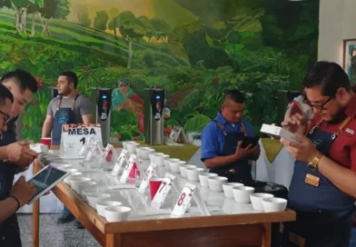 taza a la excelencia, Café Nicaragua, Jinotega, Selección de catadores, Certamen Taza de Excelencia Nicaragua, 2025, primera etapa,