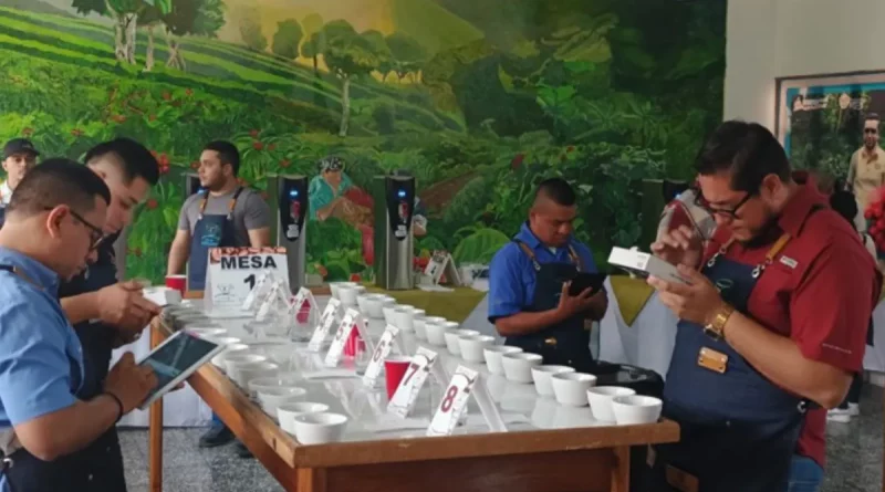 taza a la excelencia, Café Nicaragua, Jinotega, Selección de catadores, Certamen Taza de Excelencia Nicaragua, 2025, primera etapa,