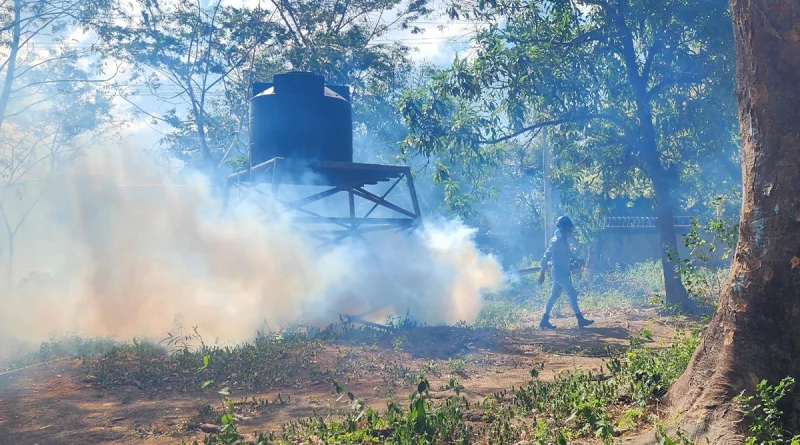 minsa, nicaragua, jornada de fumigacion, managua, abatizacion,