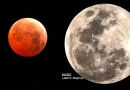 eclipse lunar, luna de sangre, Nicaragua, espectáculo, fotos, cielo de Nicaragua, cielo,