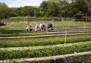 marena, gobierno de nicaragua, chinandega, vivero, san antonio,