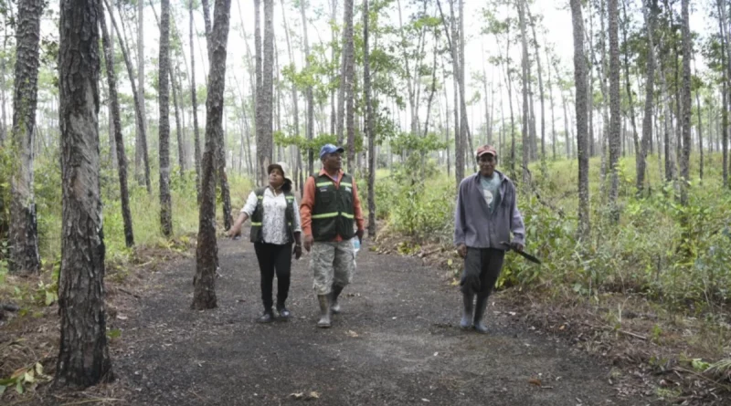 gobierno de nicaragua, marena, costa caribe norte, finca miranda, visita,