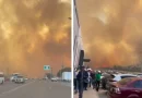 incendios forestales, México, Madera, voluntario, muere, pierde la vida, Monterrey, Nuevo León, combatir,