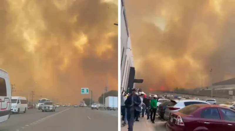 incendios forestales, México, Madera, voluntario, muere, pierde la vida, Monterrey, Nuevo León, combatir,