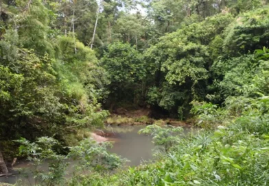 Reserva, finca El Manantial, Waspán, Costa Caribe Norte, conservación biodiversidad, sostenibilidad, MARENA,