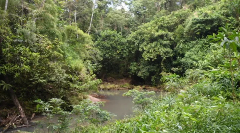 Reserva, finca El Manantial, Waspán, Costa Caribe Norte, conservación biodiversidad, sostenibilidad, MARENA,